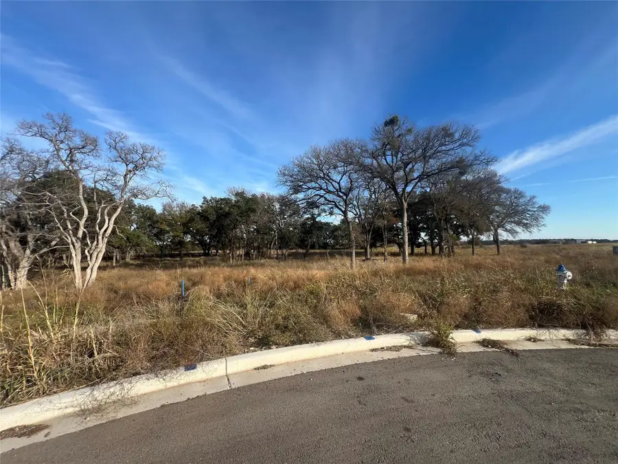 148 W Rio Ranch Rd, Liberty Hill, TX 78642 - #2