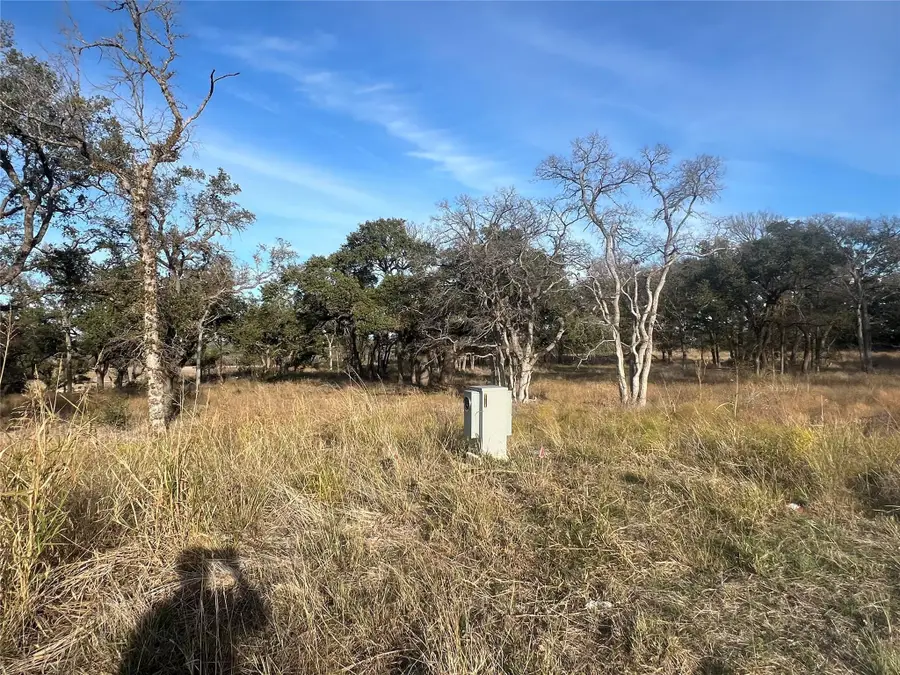 148 W Rio Ranch Rd, Liberty Hill, TX 78642 - #3