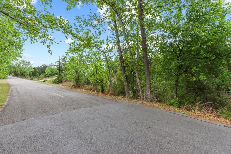 416 Dunkeld Dr, Spicewood, TX 78669 - #3