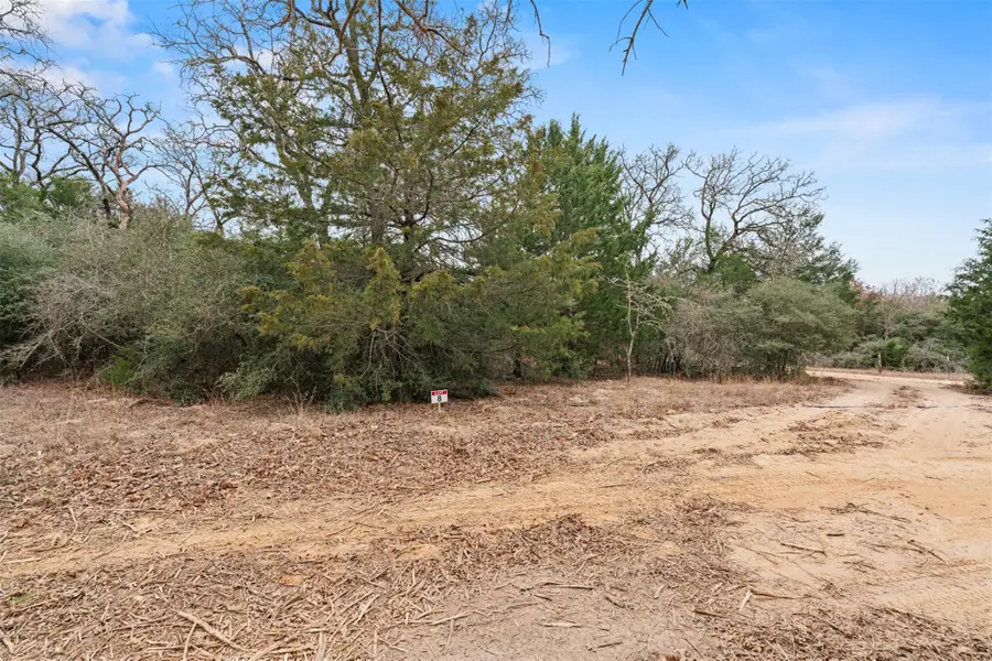 TBD County Road 326 Lot 8, Rockdale, TX 76567 - Image #3