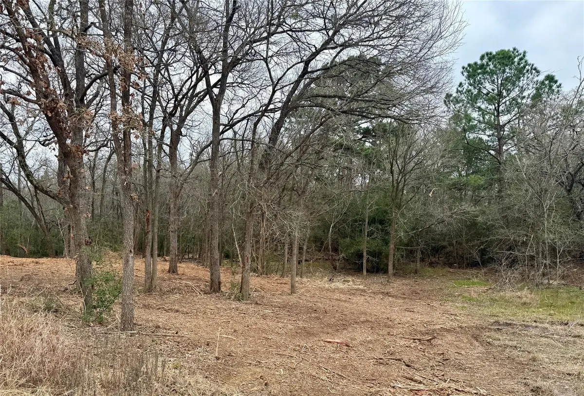 Lot 8 and 9 Meadow Creek Dr, Bastrop, TX 78602 - #1