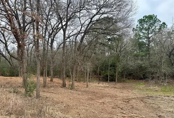 Lot 8 and 9 Meadow Creek Dr, Bastrop, TX 78602