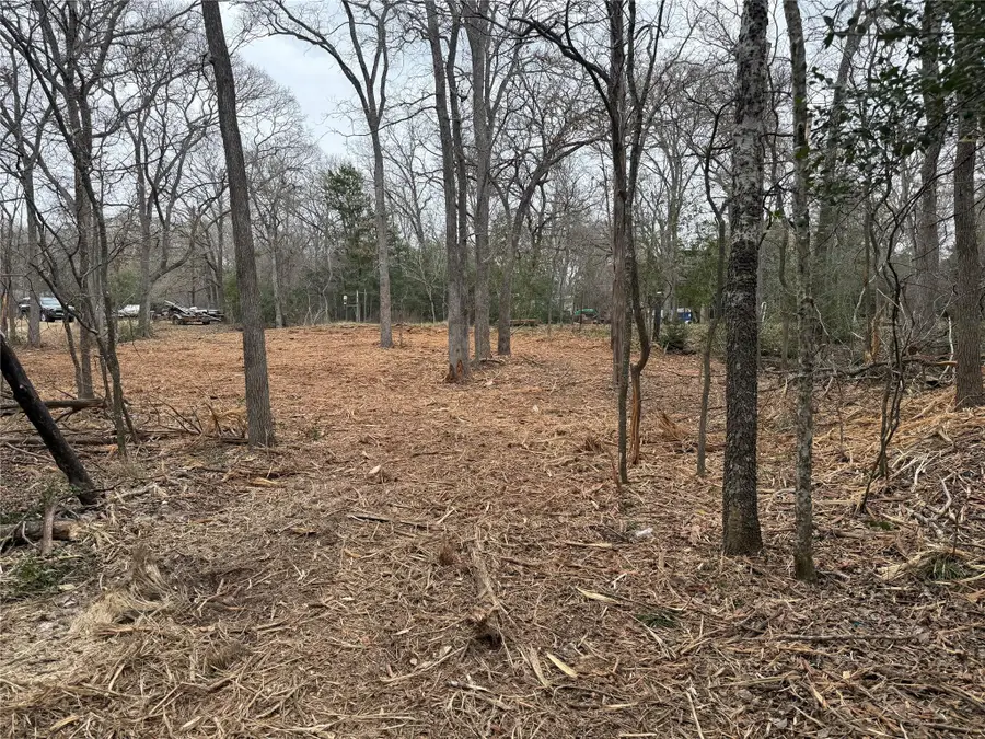 Lot 8 and 9 Meadow Creek Dr, Bastrop, TX 78602 - #3