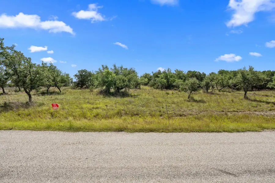 31890 Mirela Ann Rd, Dripping Springs, TX 78620 - Image #3