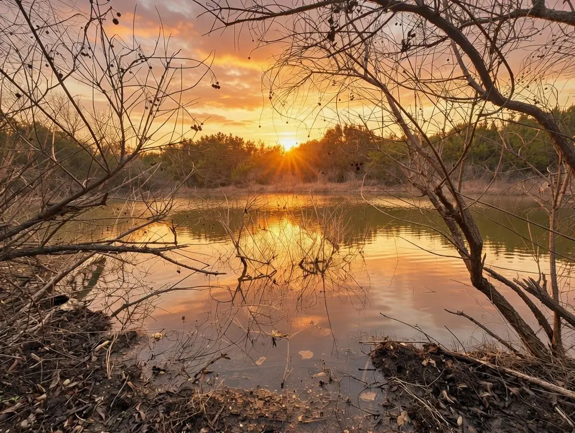 TBD Private Road 16020, Jonesboro, TX 76538 - #1