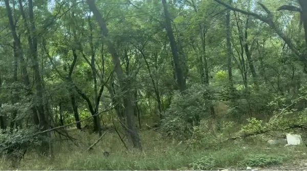 4204 Kings Ct, Austin, TX 78725