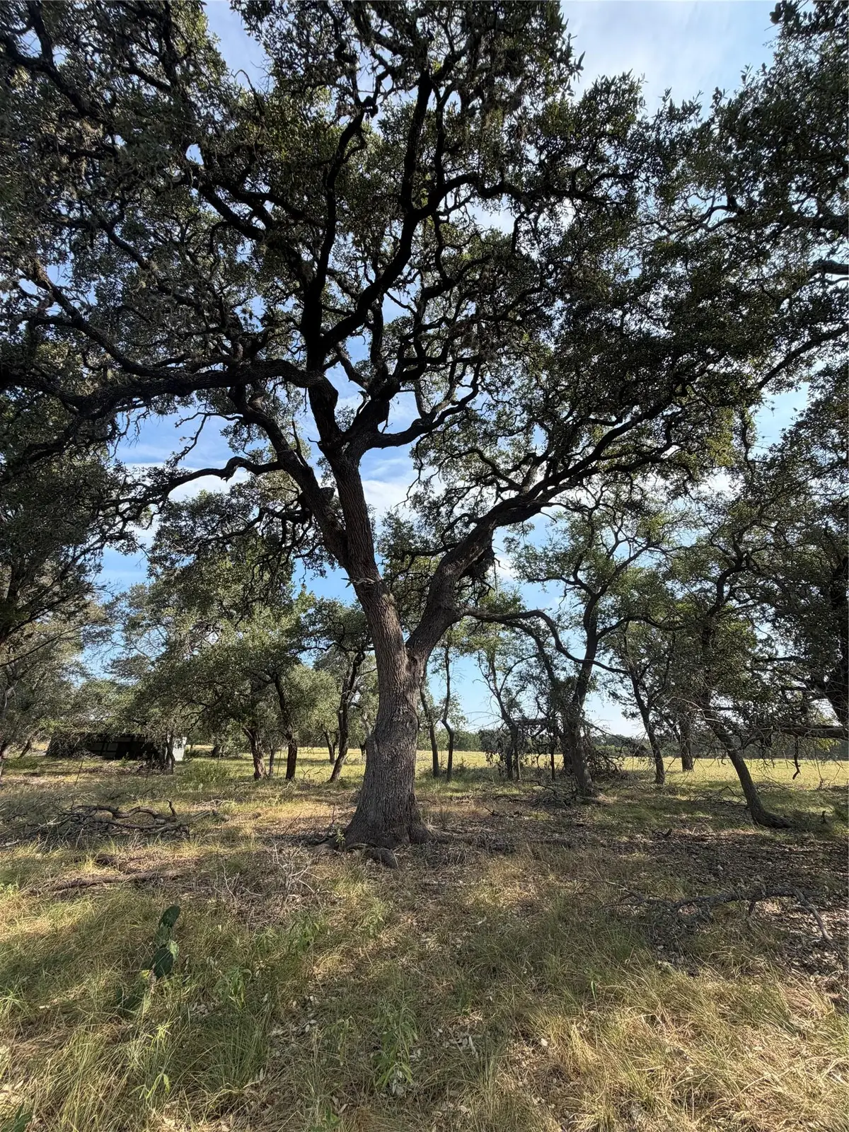 125 Quail Holw, Wimberley, TX 78676 - #1