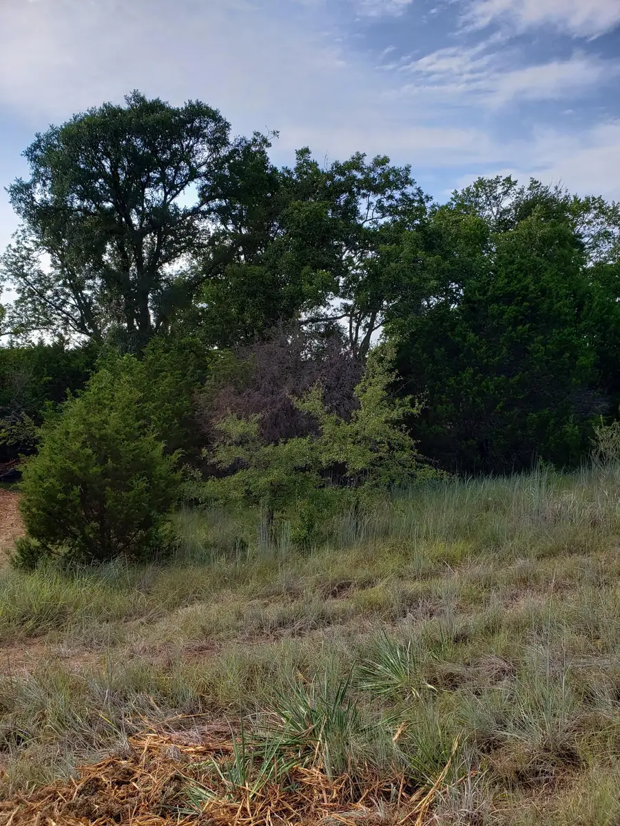 Lot 44 County Road 3640, Adamsville, TX 76522 - #2