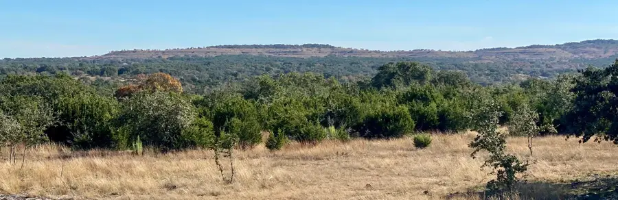 Lot 94 E. Dripping View Ct, Blanco, TX 78606 - #2