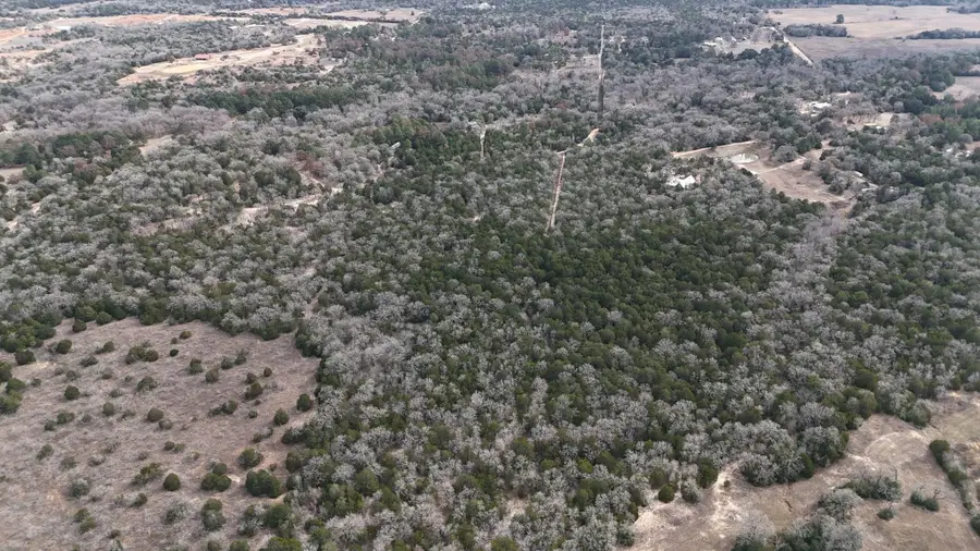 147 Blue Sky Dr, Bastrop, TX 78602 - #2