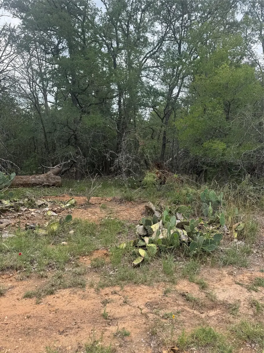 108 Howi Ln, Bastrop, TX 78602 - #2