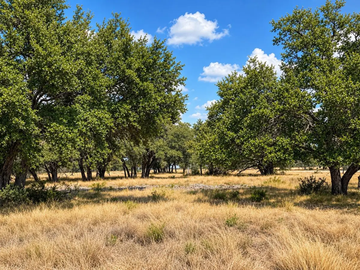 LOT 123 Fallow Drive Dr, Harper, TX 78631 - #1