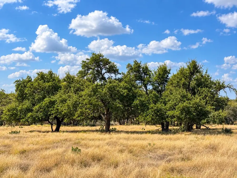 LOT 123 Fallow Drive Dr, Harper, TX 78631 - #2