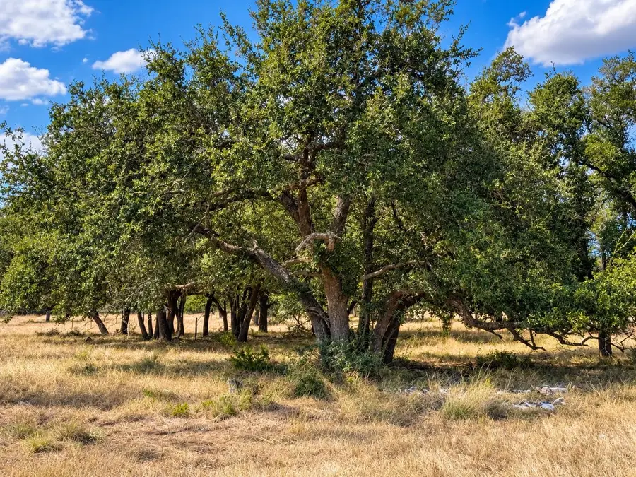 LOT 123 Fallow Drive Dr, Harper, TX 78631 - #3