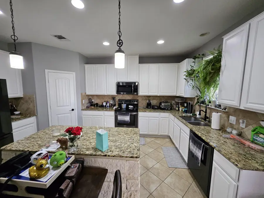 913 Water Hyacinth Loop, Leander, TX 78641 - Image #2