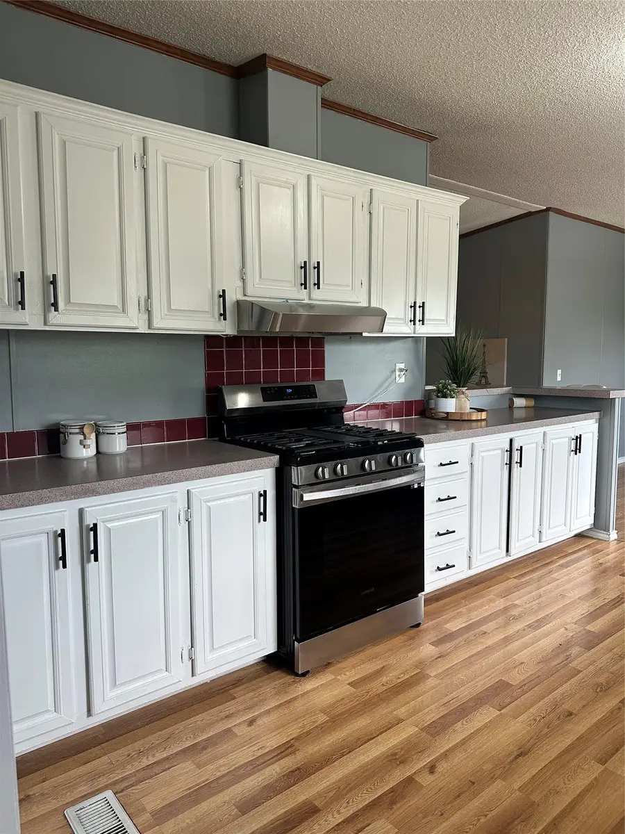 100 Cattle Bnd, Kyle, TX 78640 - #2