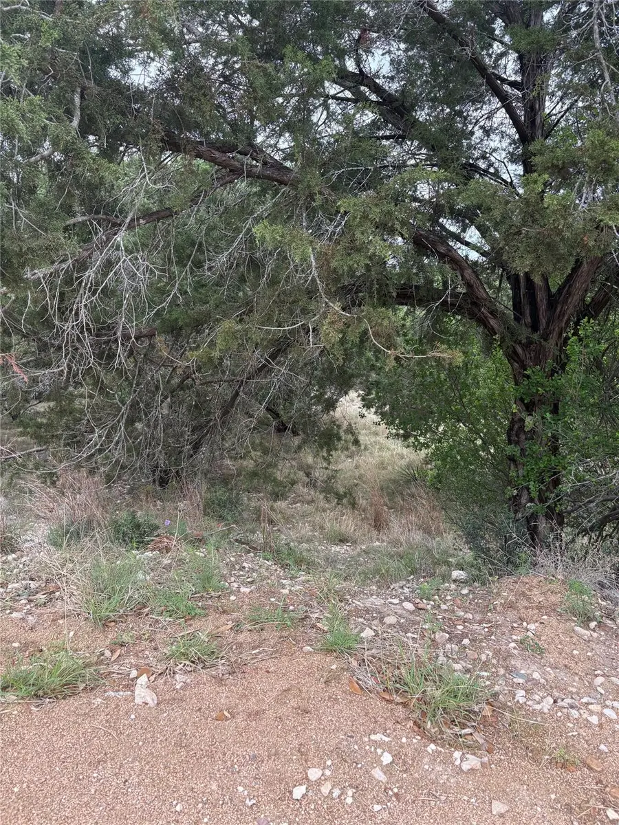 20907 Magellan Cv, Lago Vista, TX 78645 - #3