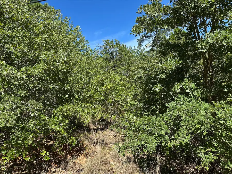 TBD N. Pahihi Dr, Bastrop, TX 78602 - #2