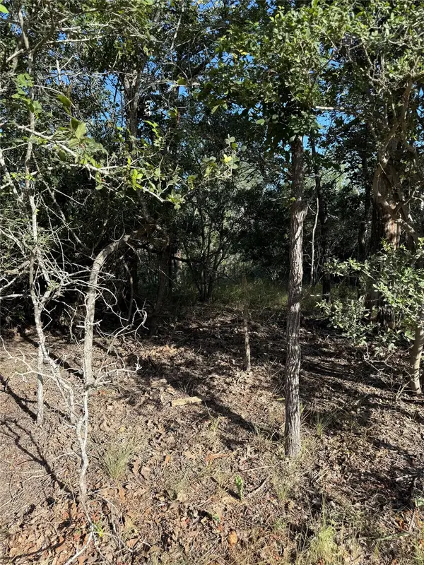 152 Helemano Dr, Bastrop, TX 78602