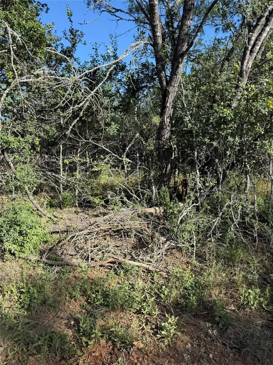 152 Helemano Dr, Bastrop, TX 78602 - #3