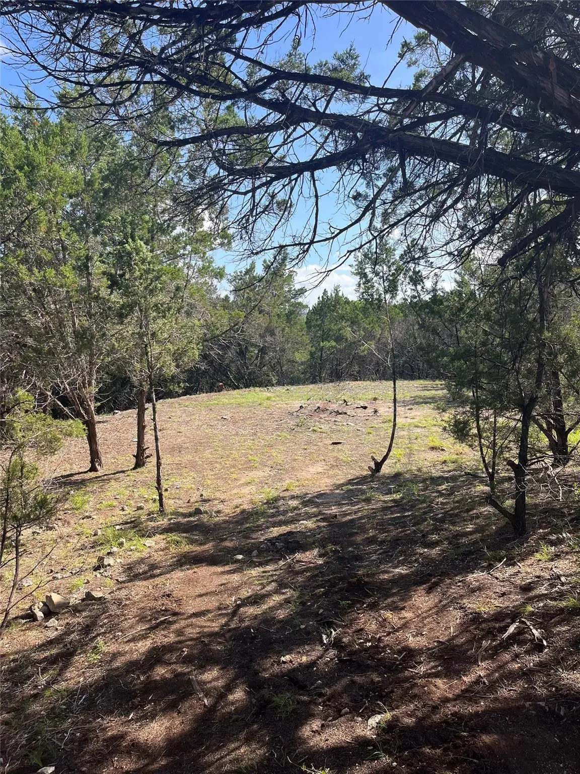 753 Appaloosa Dr, Fischer, TX 78623 - #1