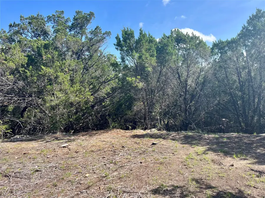 753 Appaloosa Dr, Fischer, TX 78623 - #3