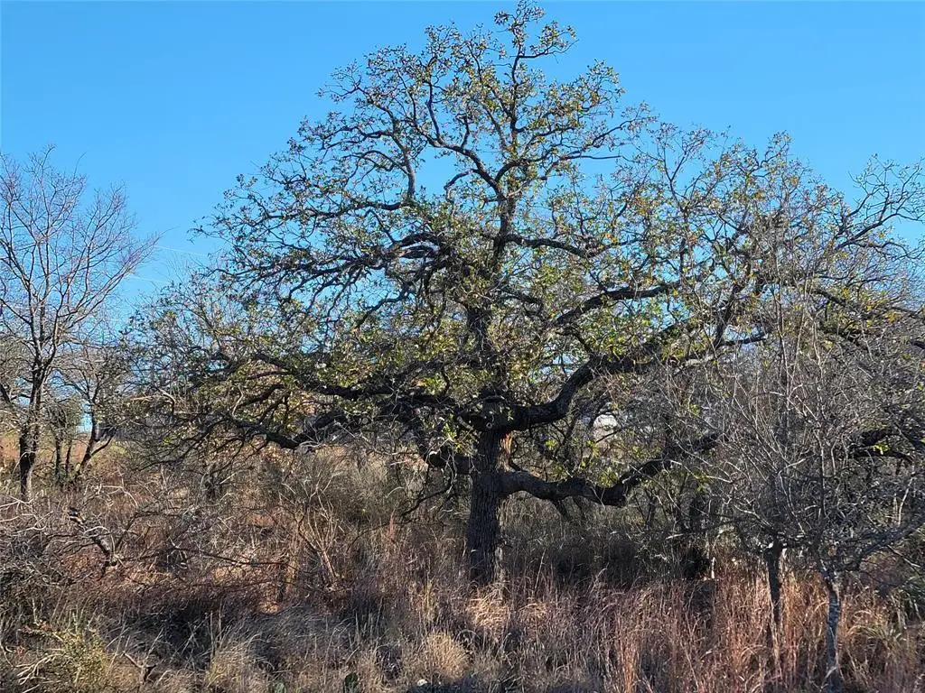 Lot 434-435 Rockcrest Dr, Granite Shoals, TX 78654 - #1