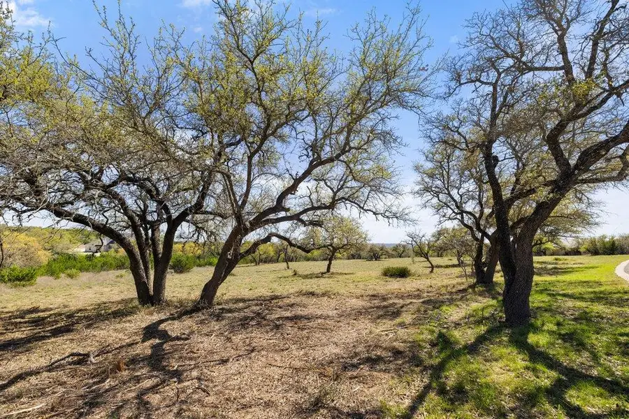 Lot 19 Stone Ridge Mountain Dr, Round Mountain, TX 78663 - #3
