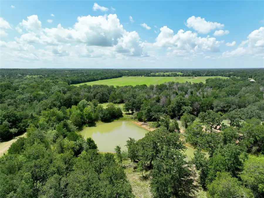 TBD Grassyville Rd, Paige, TX 78659 - Image #2
