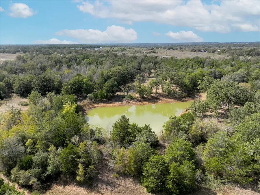 TBD Grassyville Rd, Paige, TX 78659 - Image #3