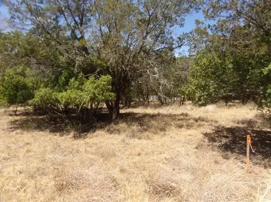 Lot 141 Pine Lane, Cottonwood Shores, TX 78657 - #3