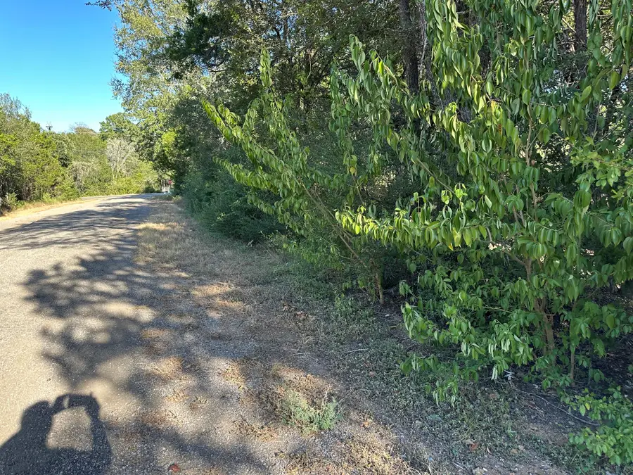 LOT 9 Robin Run, Bastrop, TX 78602 - #2