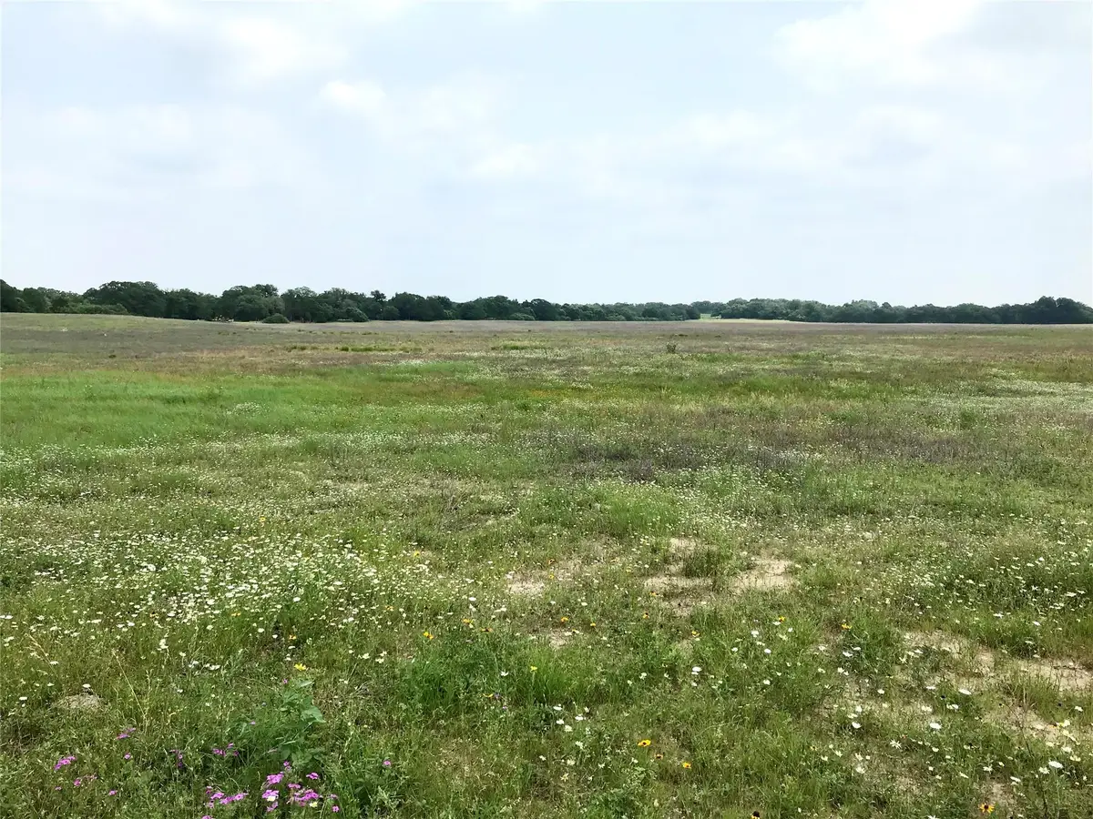 1672 Sayers Tract 2 Rd, Bastrop, TX 78602 - #1