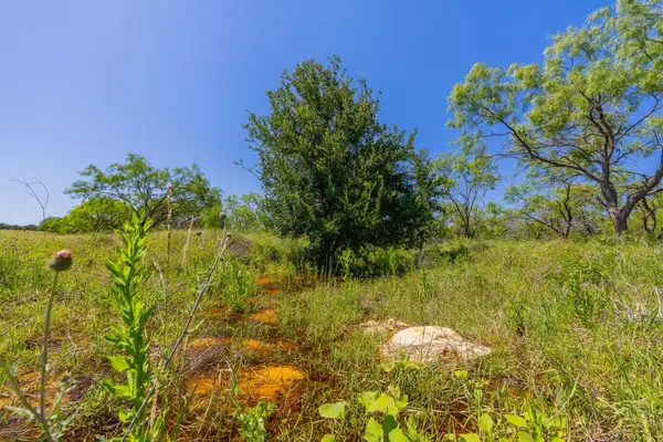 TBD Hidden Pond Ranch County Road 180 Rd, Purmela, TX 76566