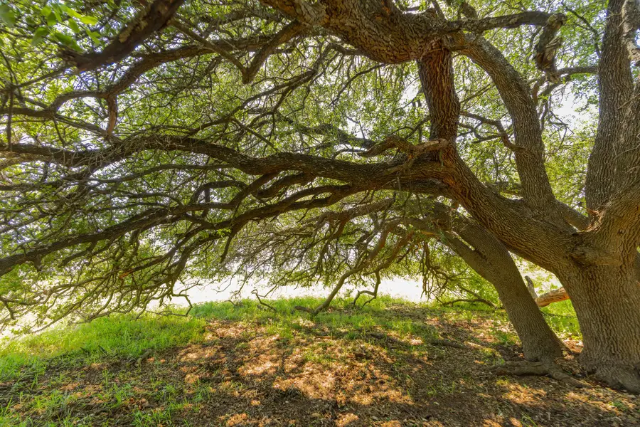 TBD Hidden Pond Ranch County Road 180 Rd, Purmela, TX 76566 - #2