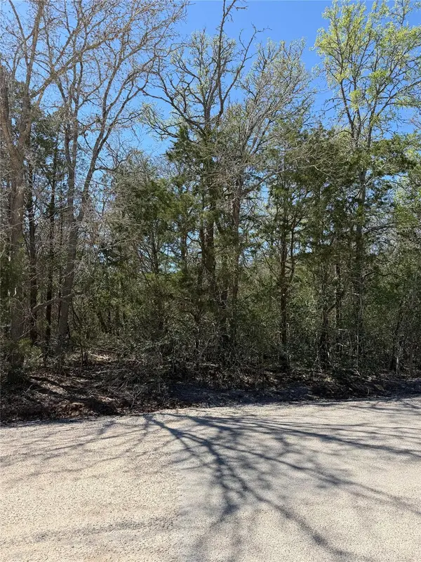 193 Kaaawa Ln, Bastrop, TX 78602