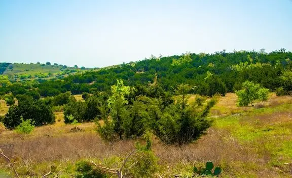 203 Rheingold School Rd, Fredericksburg, TX 78624 - #3