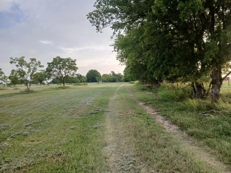 2985 County Road 426, Thrall, TX 76578 - #2