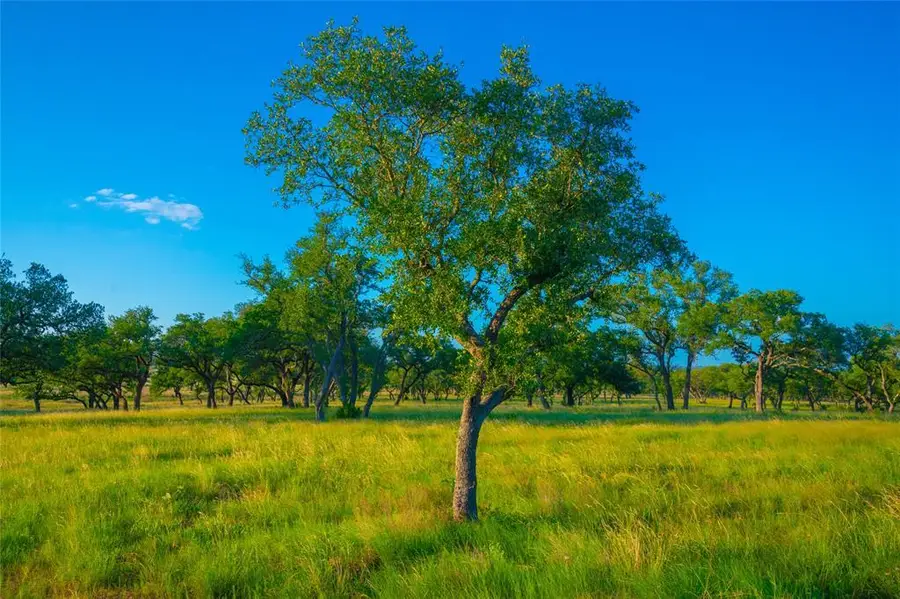 0 High Point Ranch, Johnson City, TX 78636 - #3