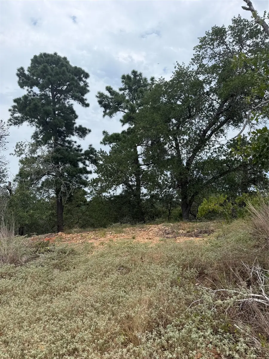 Lots 236 and 237 Kaelepulu Ln, Bastrop, TX 78602 - #2