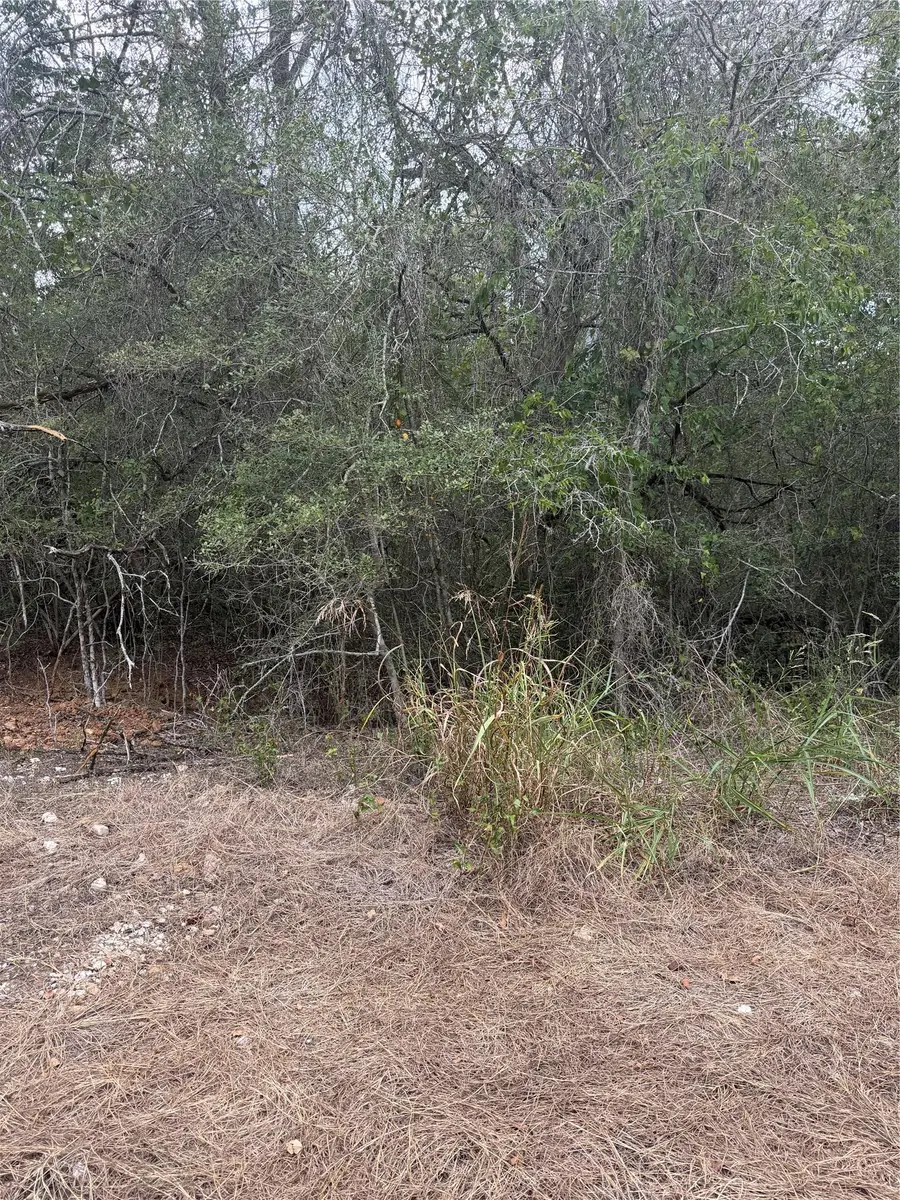 104, 108, 110 Makua Ct, Bastrop, TX 78602 - #2