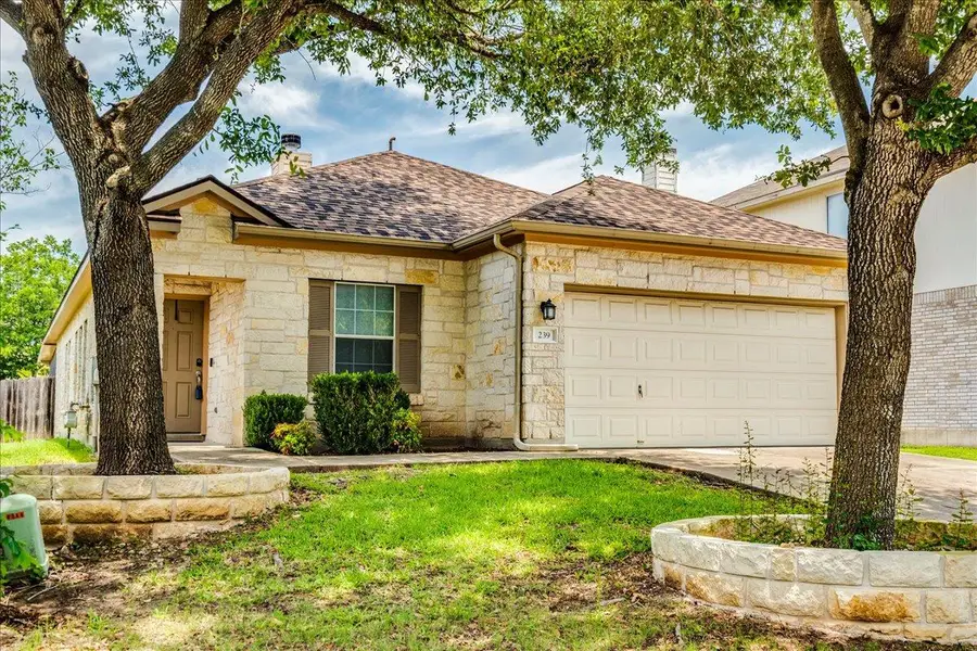 239 Dark Horse Ln, Buda, TX 78610 - #2
