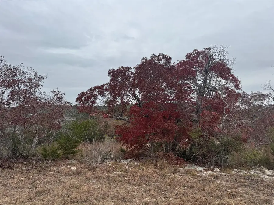 Lot 102 Montana Creek Xing, Marble Falls, TX 78654 - #2