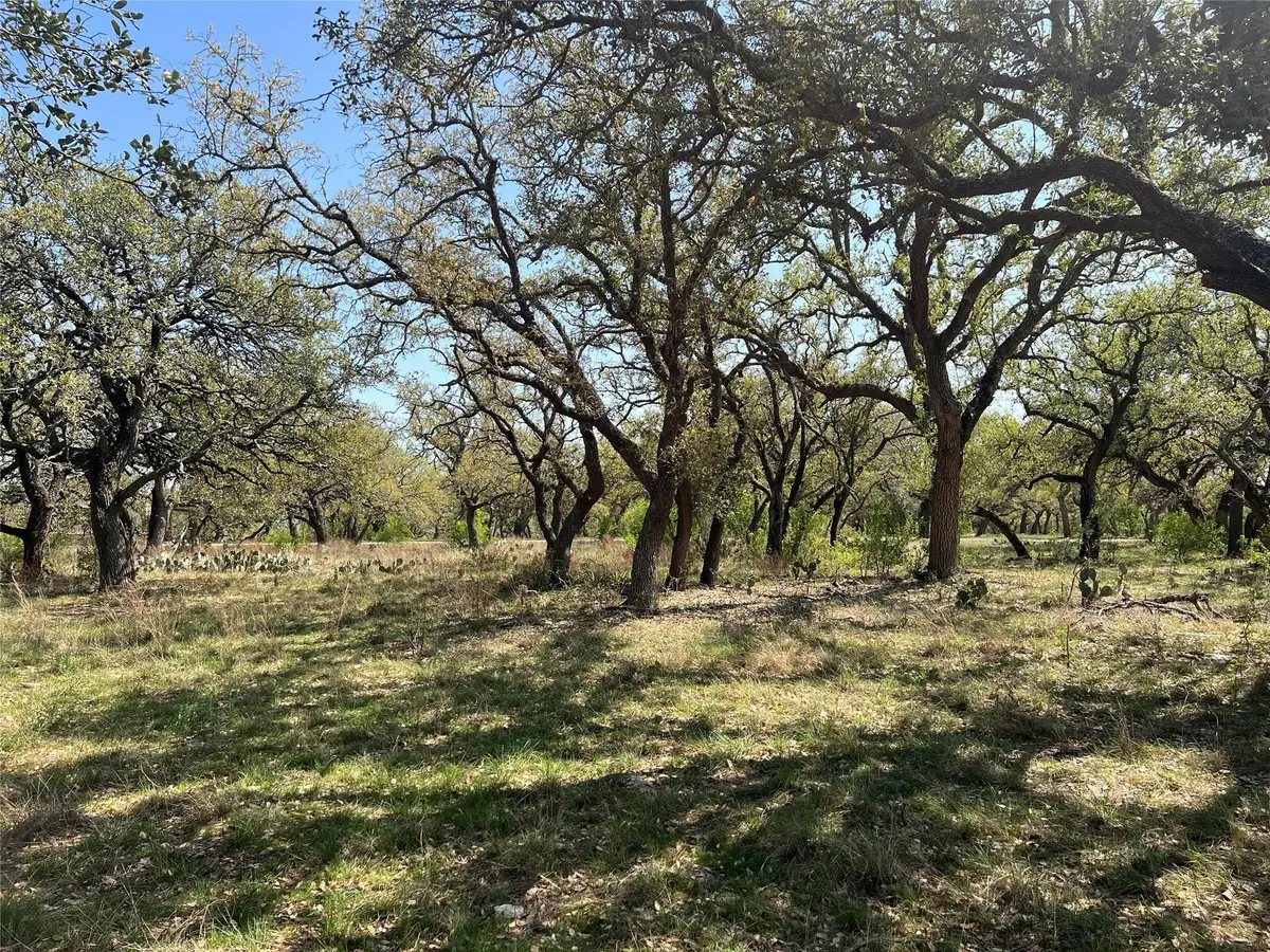 Lot 43 Waterbuck Way, Lampasas, TX 76550 - #1