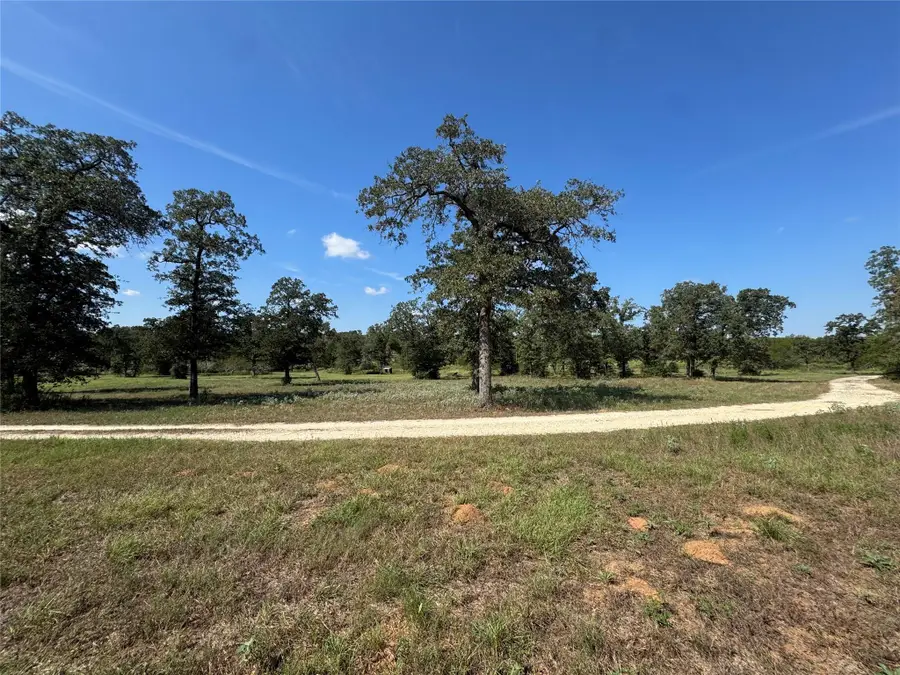 1523 Fm 535, Smithville, TX 78957 - #3