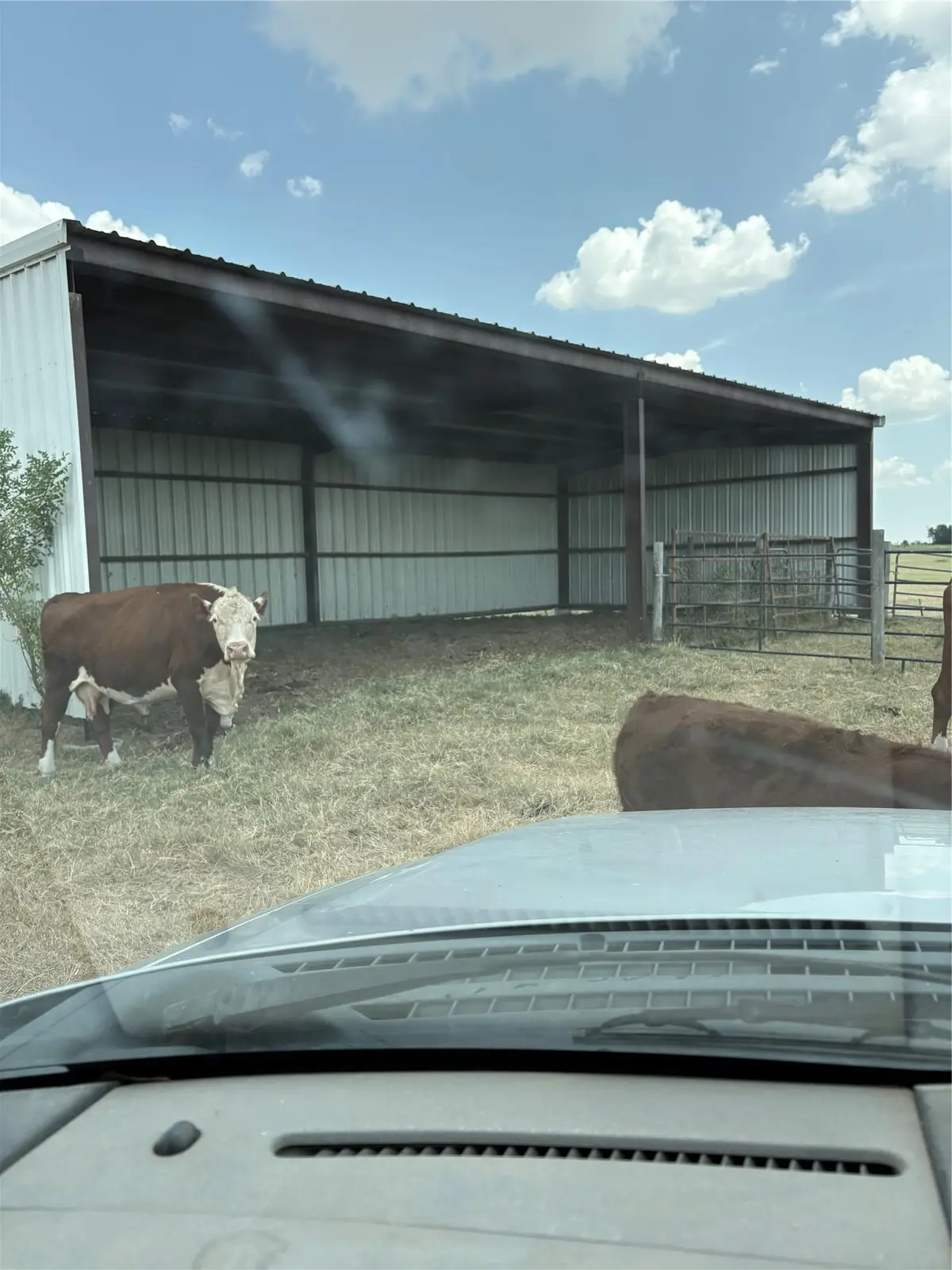 600 County Road 444 Land, Thorndale, TX 76577 - #1
