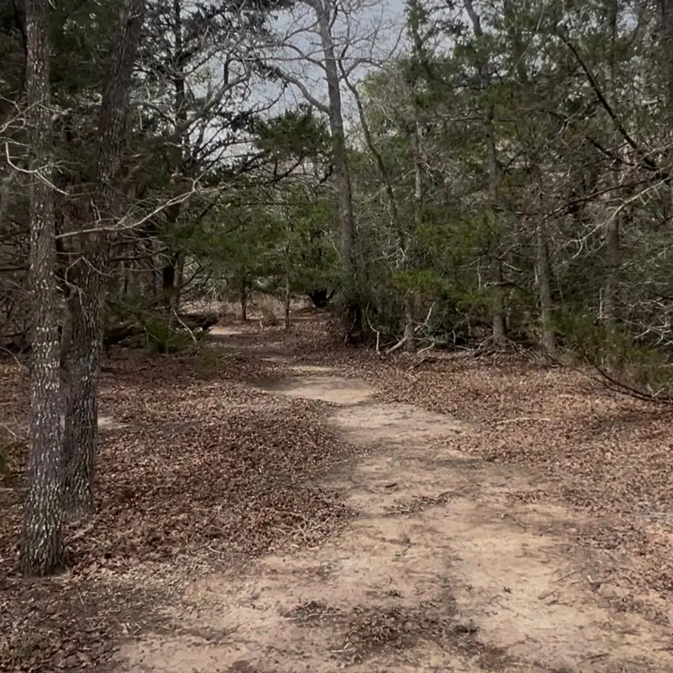 Lot 10 South Old Potato Rd, Paige, TX 78659 - #1