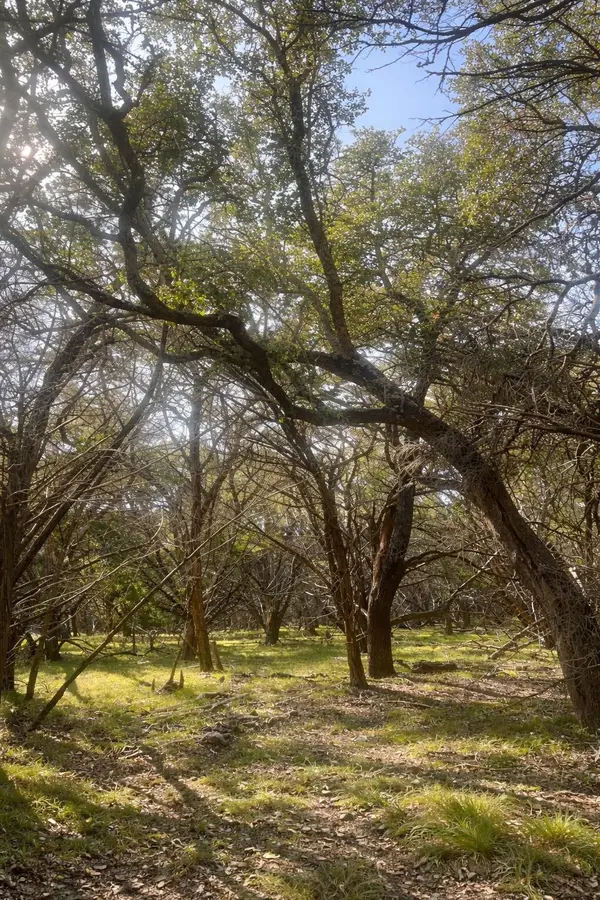 4314 County Road 108, Burnet, TX 78611