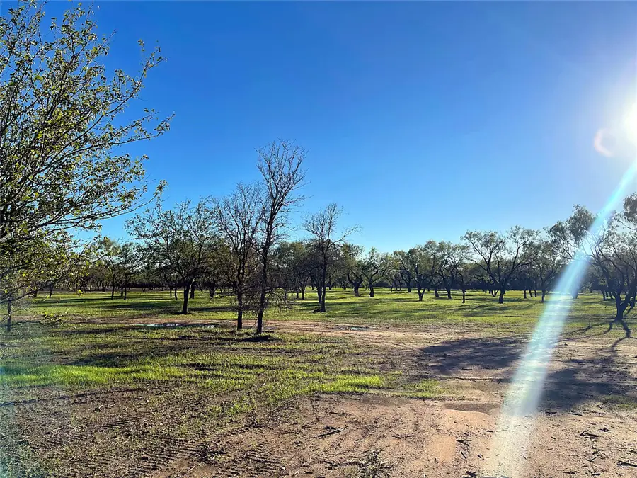 6417 County Road 120, Marble Falls, TX 78654 - #3