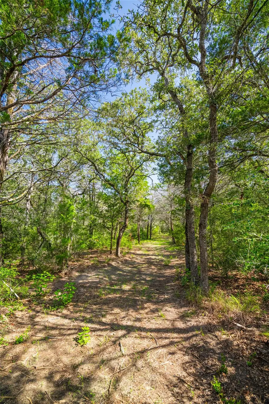 1247 Sand Hills Road, Rosanky, TX 78953 - #3